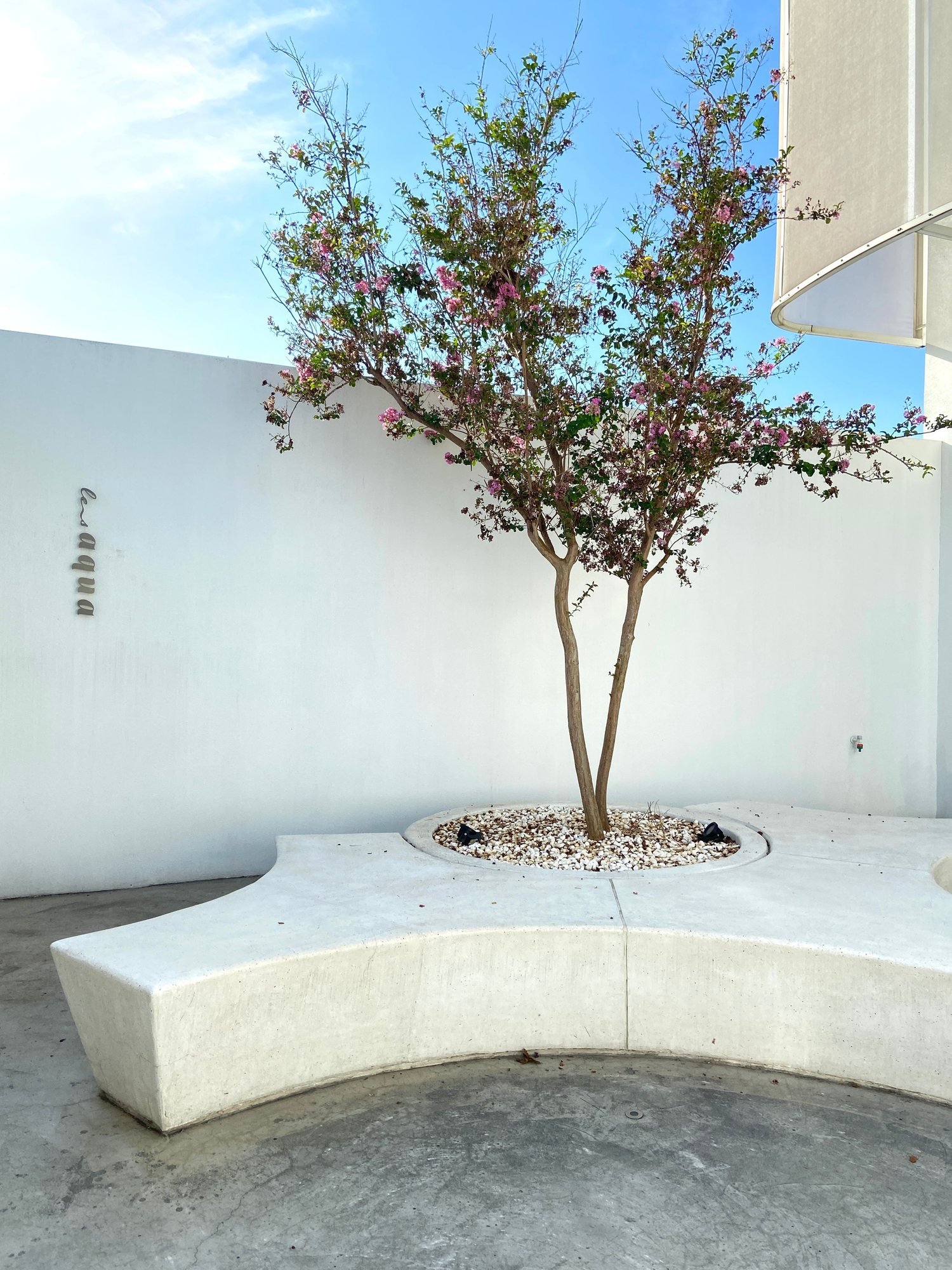 水相餐聚苑戶外白色庭院
