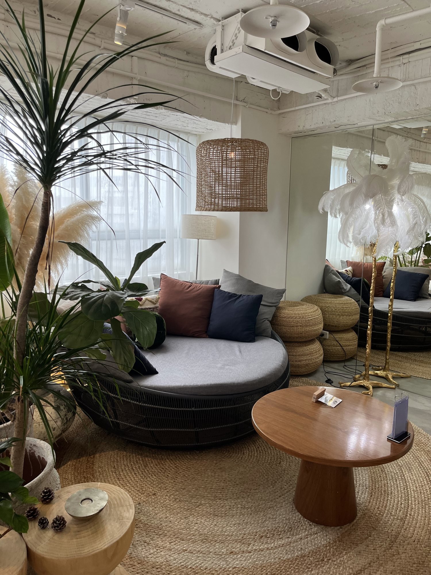 圓形沙發植栽與藤編吊燈
